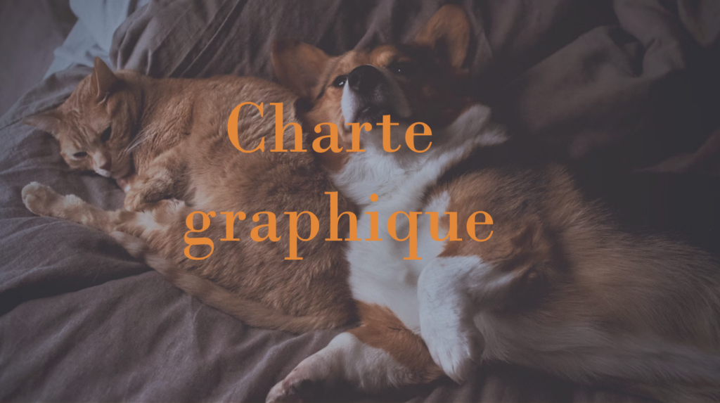 Capture d'écran 2026-02-22 155130