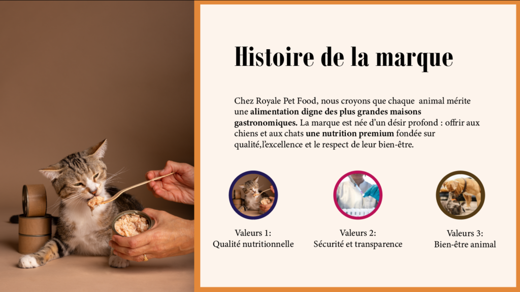 Capture d'écran 2026-02-22 155201