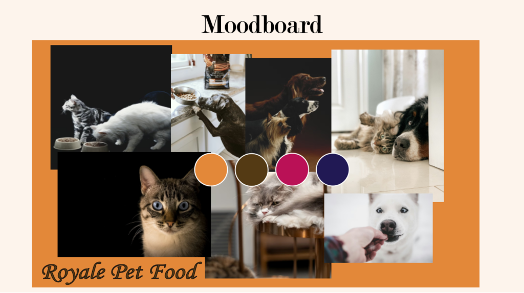 Capture d'écran 2026-02-22 155246