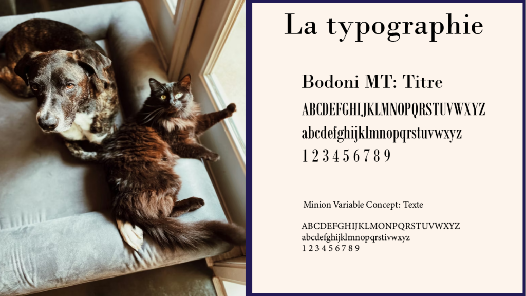 Capture d'écran 2026-02-22 155504