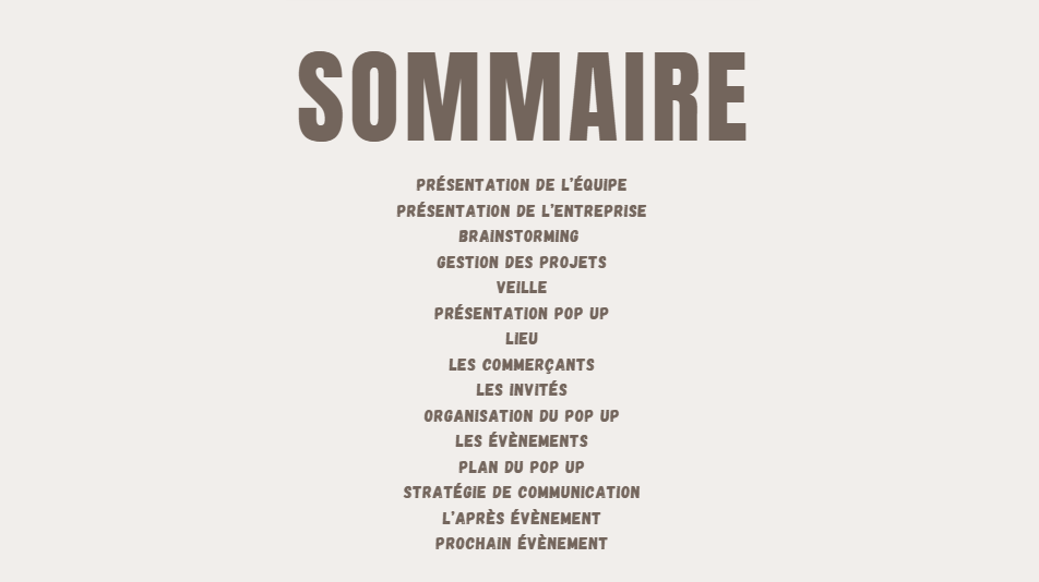 Capture d'écran 2026-02-23 121239