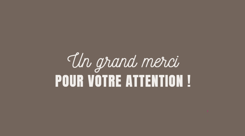 Capture d'écran 2026-02-23 121845